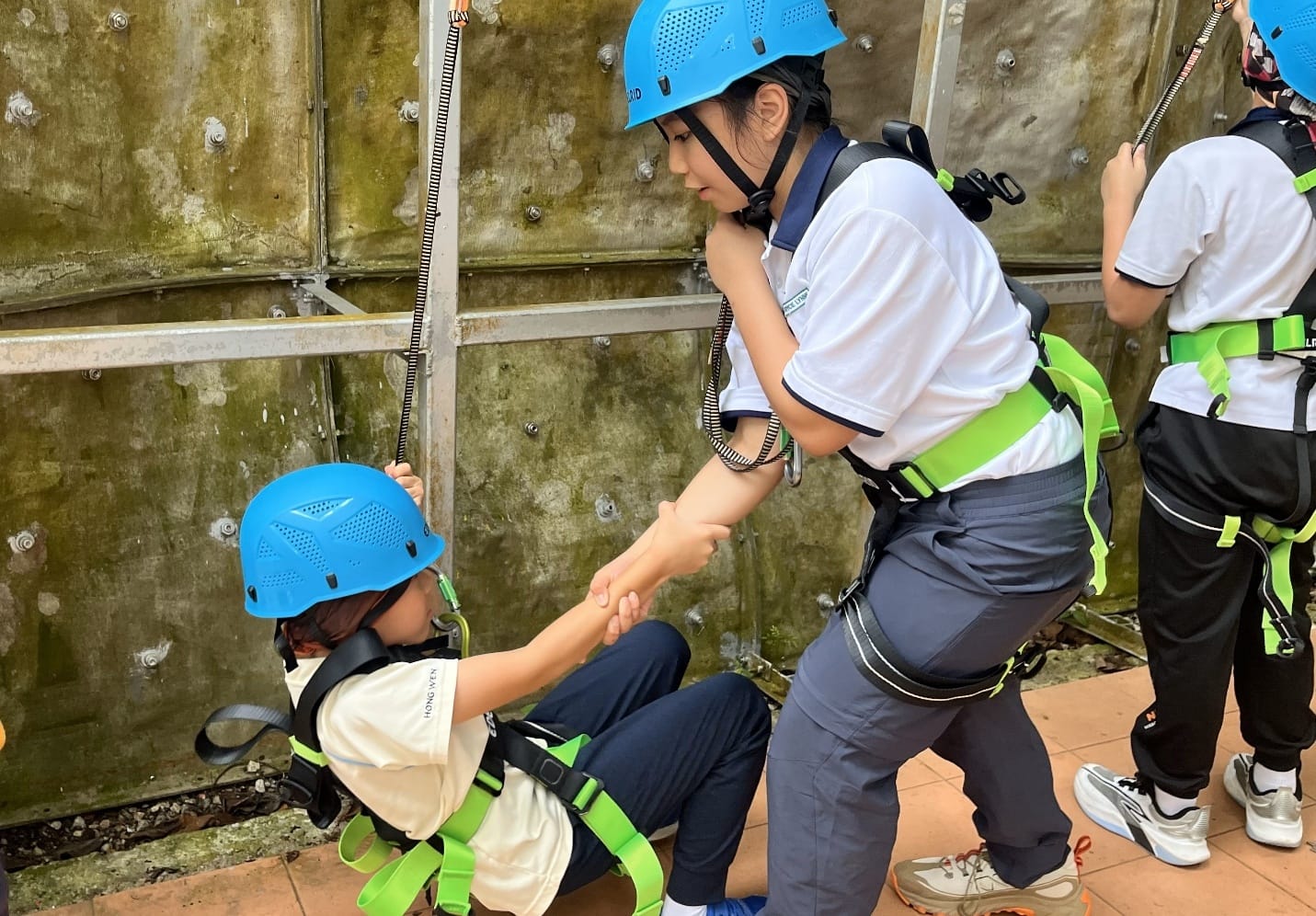 Students demonstrating teamwork, trust and resilience through the high elements course